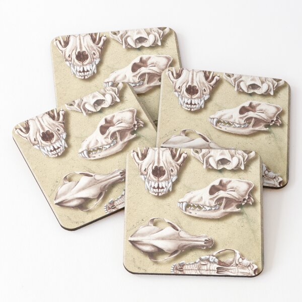 Item preview, mesocephalic skull designed and sold by elerascon.