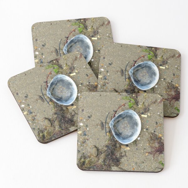 Item preview, shell designed and sold by KathleenDawson.