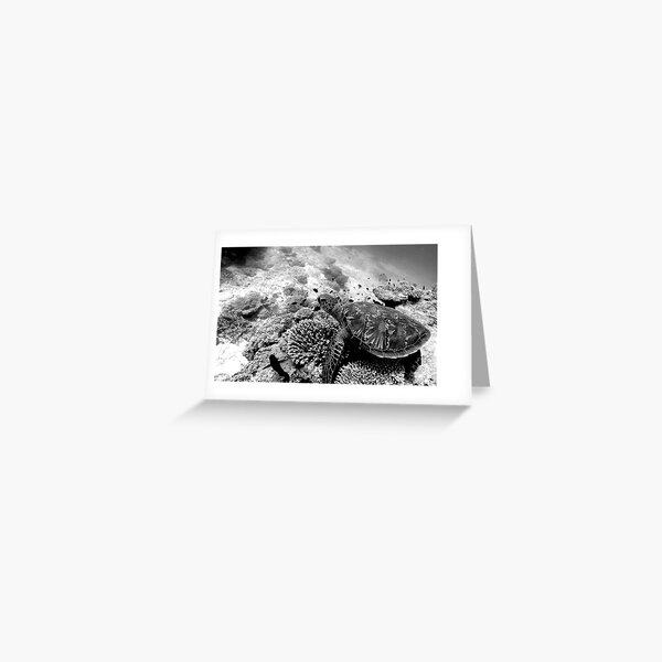Green Sea Turtle Greeting Card
