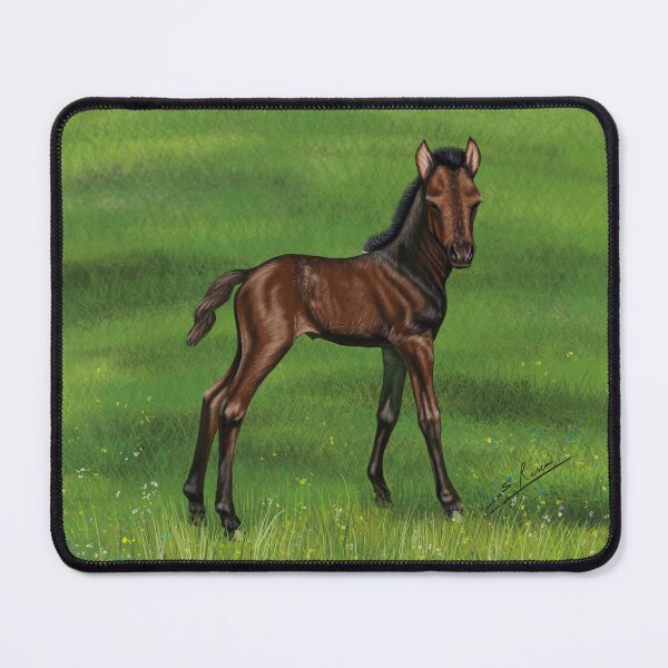 Item preview, foal designed and sold by elerascon.