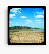 Buffulo Country Canvas Print