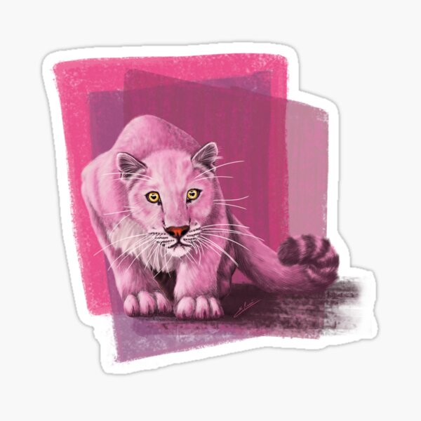 How to Draw Pink Panther, Cats and Kittens