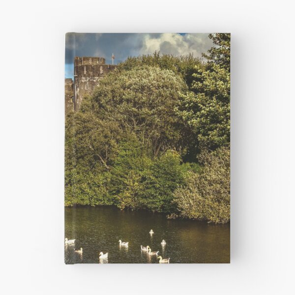 Item preview, Caerphilly Castle Western Towers designed and sold by IanWL.