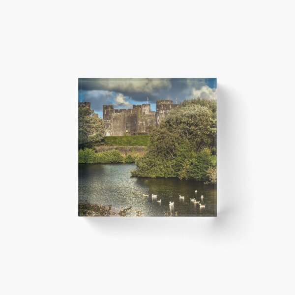 Item preview, Caerphilly Castle Western Towers designed and sold by IanWL.