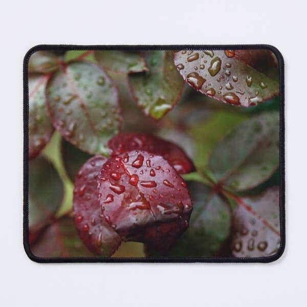 Item preview, Raindrops on autumn leaves  designed and sold by olena2552.