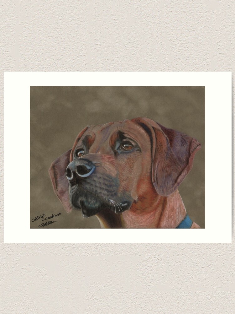 rhodesian ridgeback art