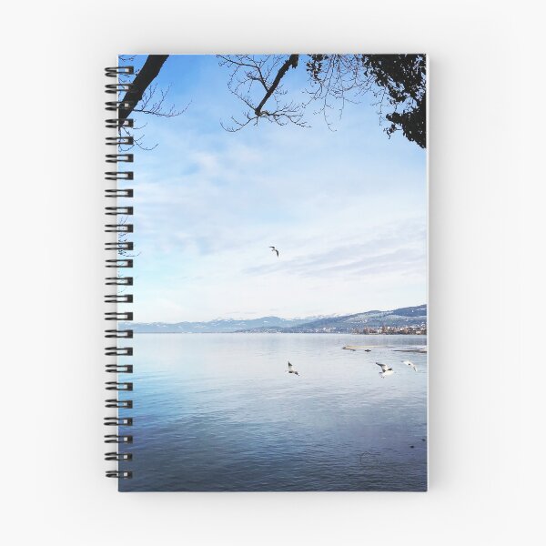 Item preview, Seagulls on Lake Constance designed and sold by Madamemauron.