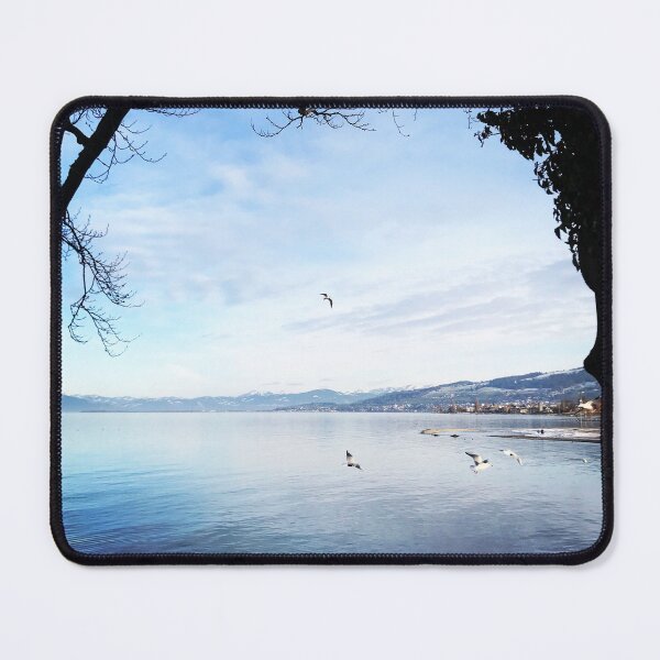 Item preview, Seagulls on Lake Constance designed and sold by Madamemauron.