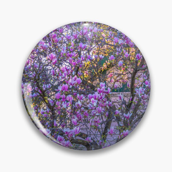 Item preview, A Beautiful Pink and White Flowering Tree in Springtime in Bendigo designed and sold by Steven Jodoin.