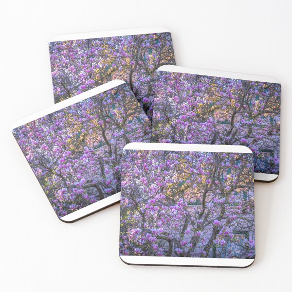Item preview, A Beautiful Pink and White Flowering Tree in Springtime in Bendigo designed and sold by Steven Jodoin.