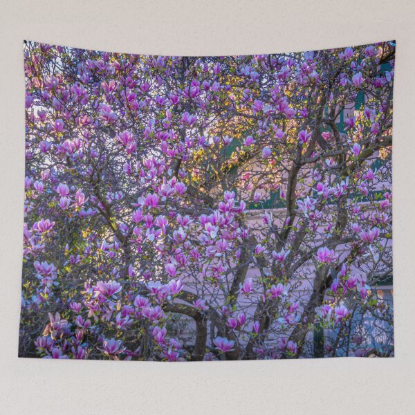 Item preview, A Beautiful Pink and White Flowering Tree in Springtime in Bendigo designed and sold by Steven Jodoin.