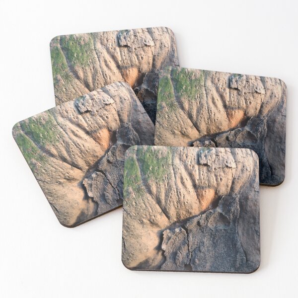 Item preview, The bark of the old plane tree designed and sold by AdioraStore.