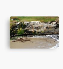 Coastal Recession Canvas Print