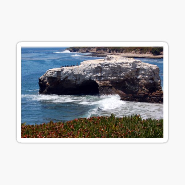 Natural Bridges State Beach Sticker