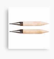 wool needles Canvas Print