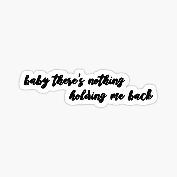 Shawn Mendes Lyrics Stickers for Sale