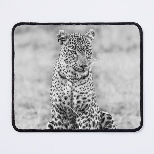 Artikelvorschau, Leopard - Schwarz-Weiß-Fotografie entworfen und verkauft von Corinne Alexa Jackson.