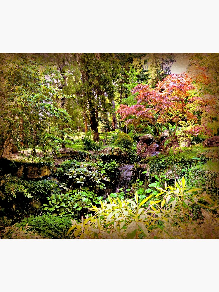 Arboretum by ScenicViewPics