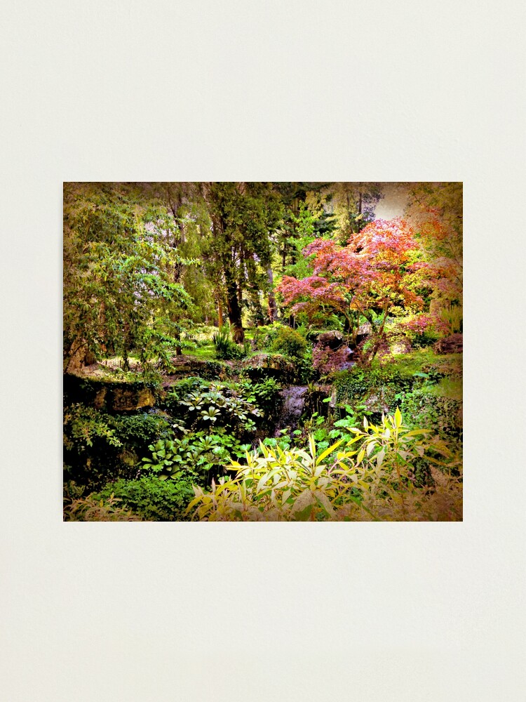 Alternate view of Arboretum Photographic Print