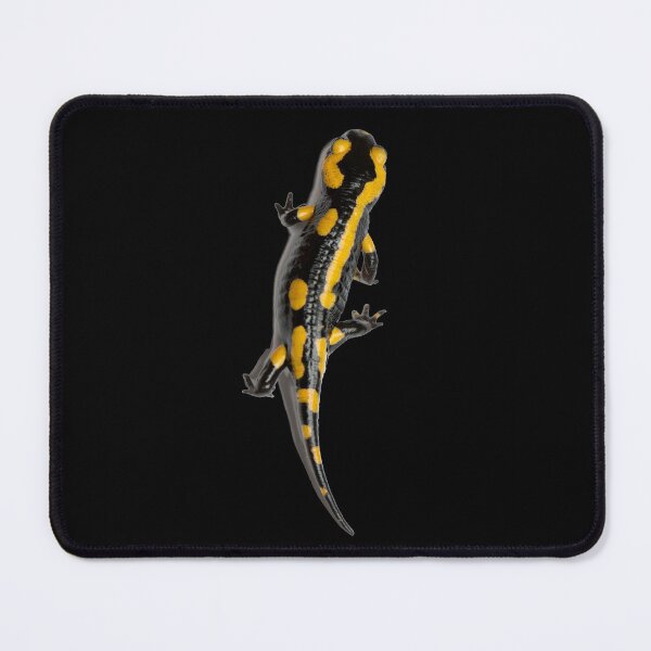 Item preview, Fire Salamander Amphibian Exotic Pet designed and sold by JRRTs.