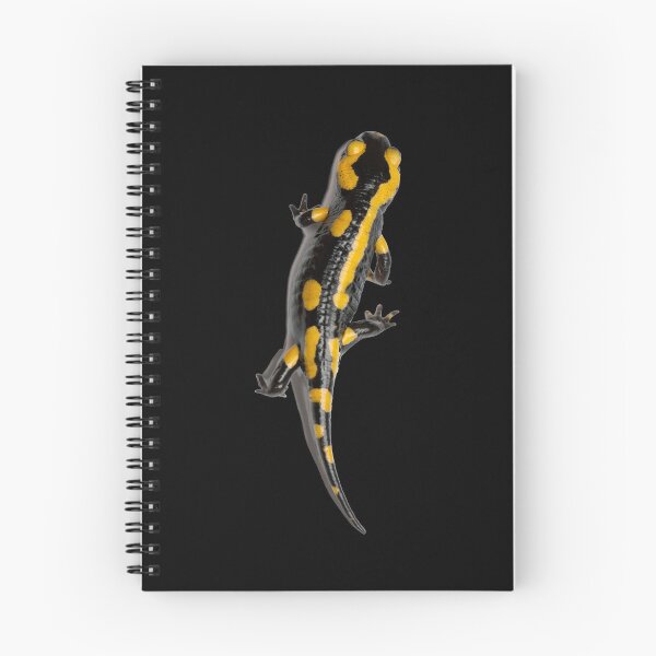 Item preview, Fire Salamander Amphibian Exotic Pet designed and sold by JRRTs.