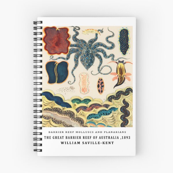 Item preview, Barrier Reef Molluscs and Planarians By William Saville Kent ,the great barrier reef of australia, the great barrier reef,coral in the great barrier reef, designed and sold by Tamas Das.