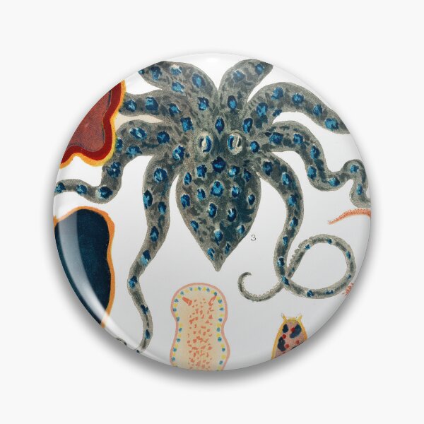 Item preview, Barrier Reef Molluscs and Planarians By William Saville Kent ,the great barrier reef of australia, the great barrier reef,coral in the great barrier reef, designed and sold by Tamas Das.