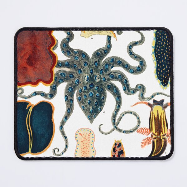 Item preview, Barrier Reef Molluscs and Planarians By William Saville Kent ,the great barrier reef of australia, the great barrier reef,coral in the great barrier reef, designed and sold by Tamas Das.