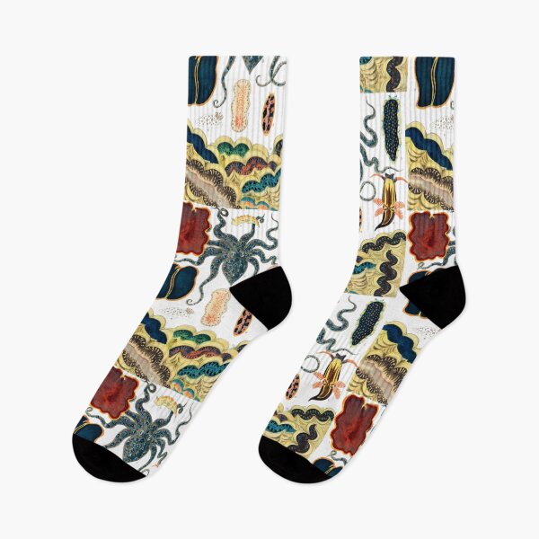 Item preview, Barrier Reef Molluscs and Planarians By William Saville Kent ,the great barrier reef of australia, the great barrier reef,coral in the great barrier reef, designed and sold by Tamas Das.