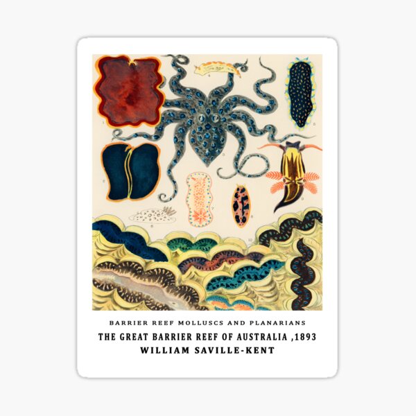 Artikel-Vorschau von Barrier Reef Mollusken und Planarien Von William Saville Kent, das Great Barrier Reef in Australien, das Great Barrier Reef, Korallen im Great Barrier Reef,, designt und verkauft von Tamas Das.