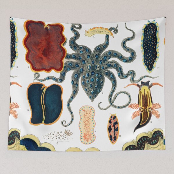 Item preview, Barrier Reef Molluscs and Planarians By William Saville Kent ,the great barrier reef of australia, the great barrier reef,coral in the great barrier reef, designed and sold by Tamas Das.