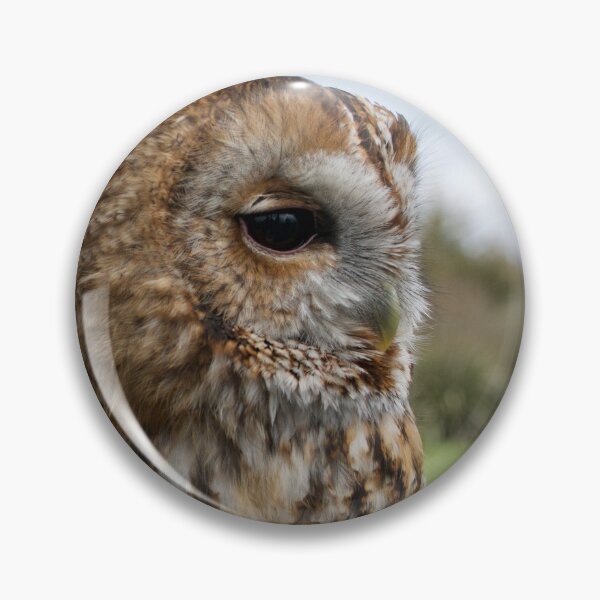 Item preview, A Wise Brown Tawny Owl designed and sold by thelemmingface.