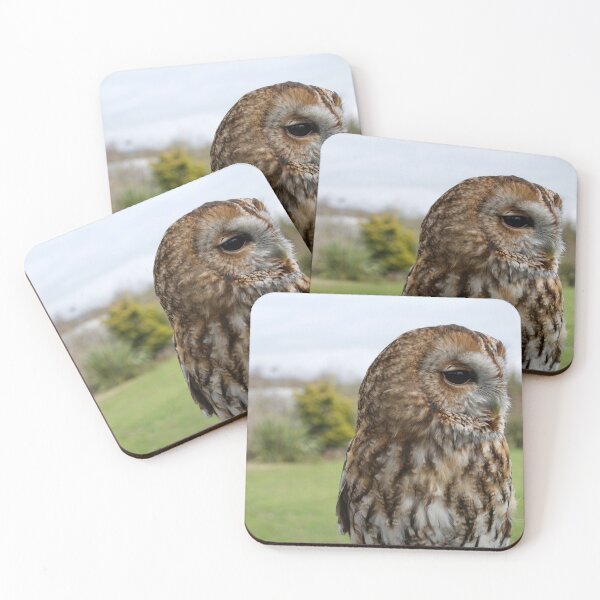 Item preview, A Wise Brown Tawny Owl designed and sold by thelemmingface.