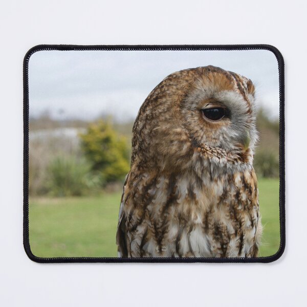 Item preview, A Wise Brown Tawny Owl designed and sold by thelemmingface.
