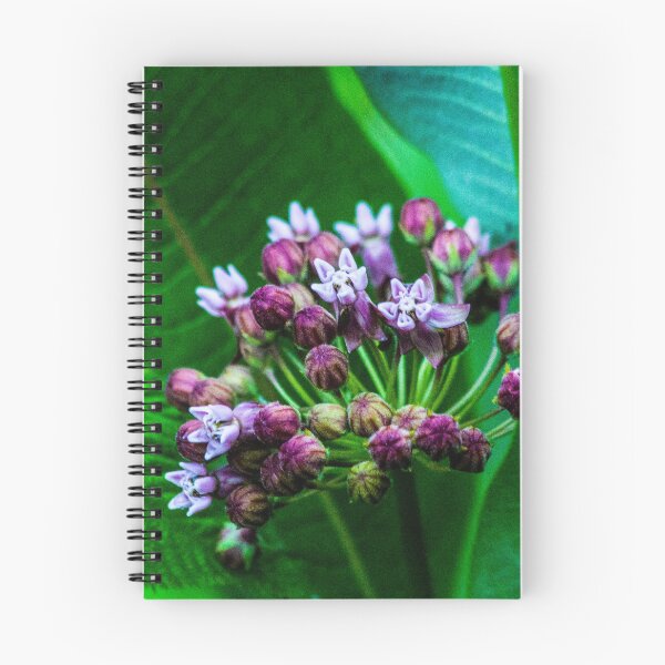 Item preview, Catskills Milkweed designed and sold by KarenDinan.