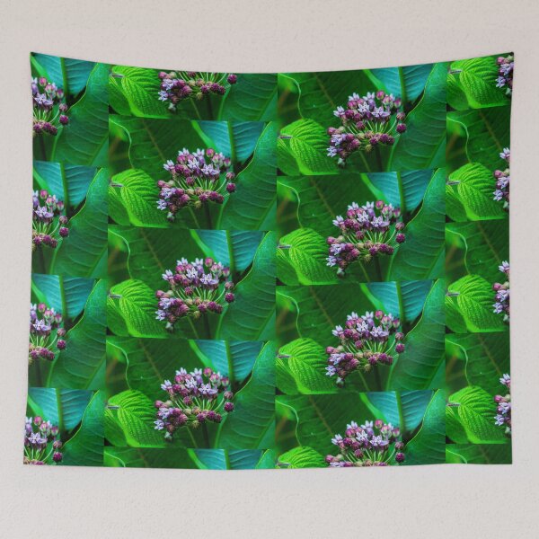 Item preview, Catskills Milkweed designed and sold by KarenDinan.