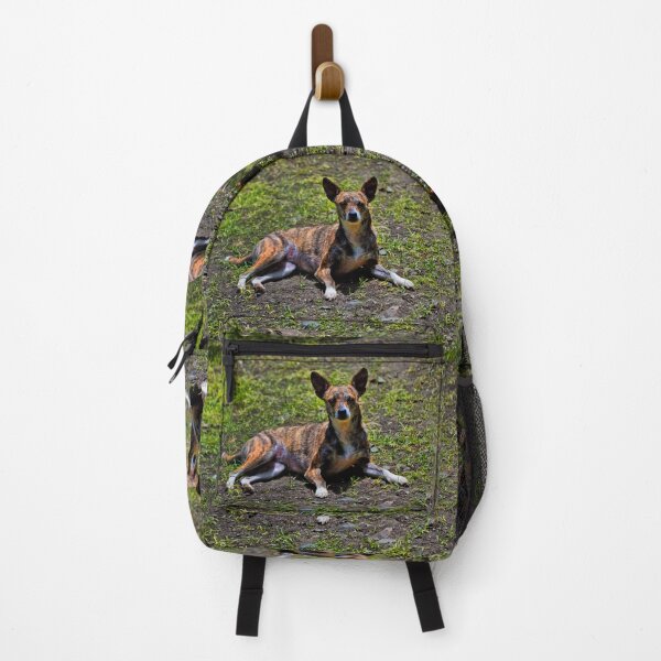 Item preview, Grigi Has Natural Camouflage designed and sold by alabca.