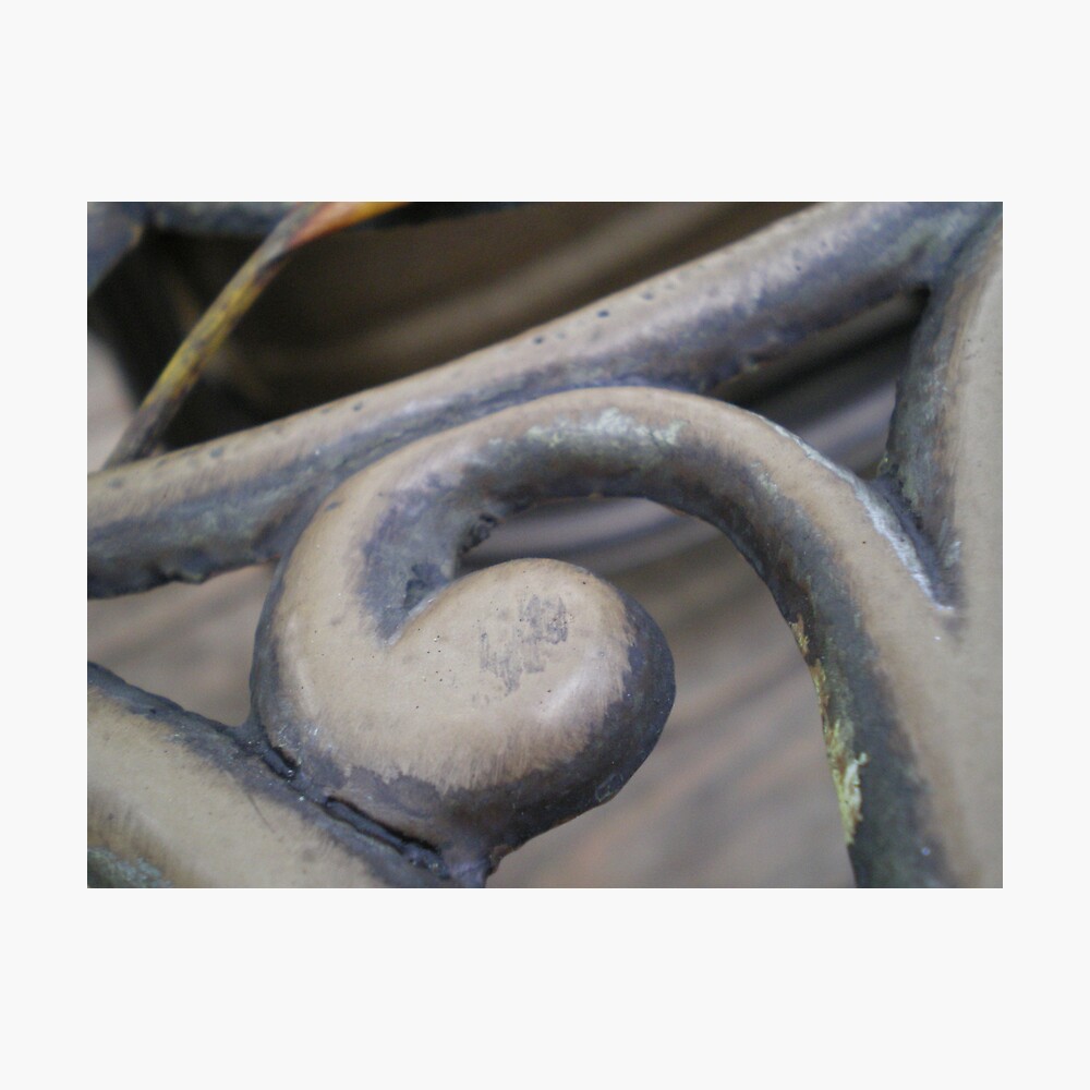 Scroll Work Photographic Print