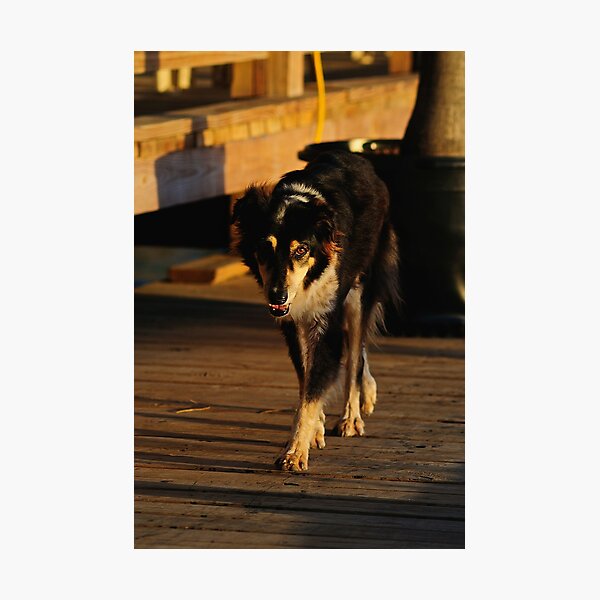 You Looking At Me! Photographic Print