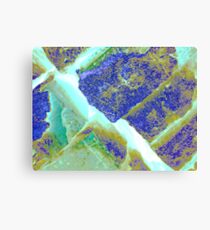 The Great Divide Canvas Print