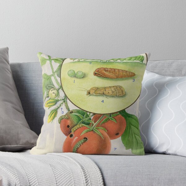 Item preview, Tomato Caterpillar designed and sold by BiosecurityColl.