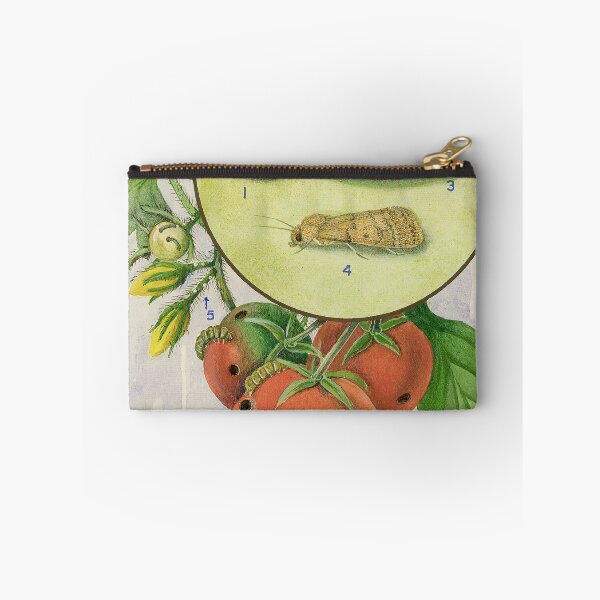 Item preview, Tomato Caterpillar designed and sold by BiosecurityColl.