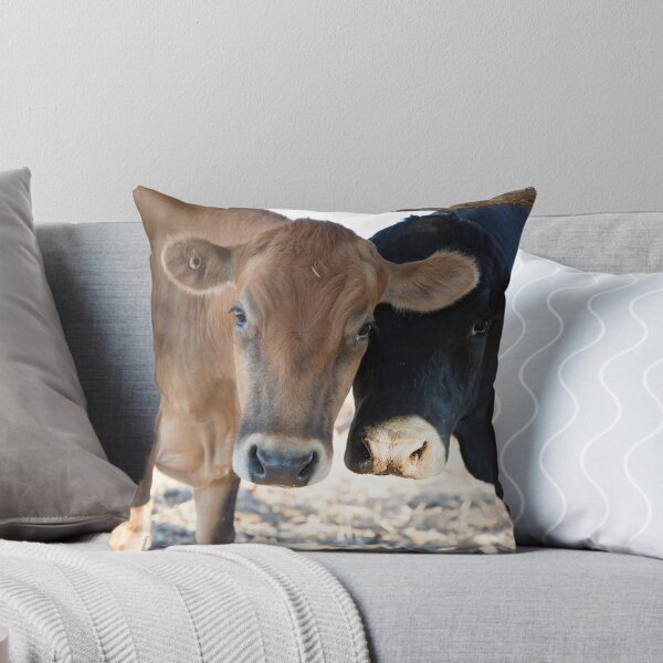 Artikelvorschau, Peekaboo .... Stier und seine Kuh. entworfen und verkauft von mitpjenkeating.