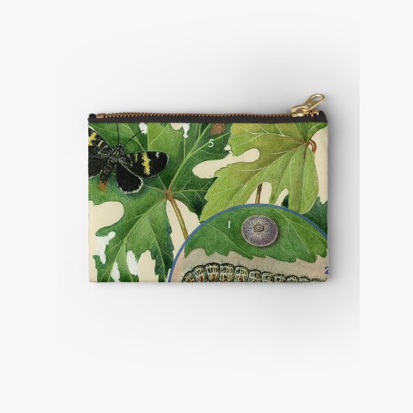 Item preview, Vine Moth designed and sold by BiosecurityColl.