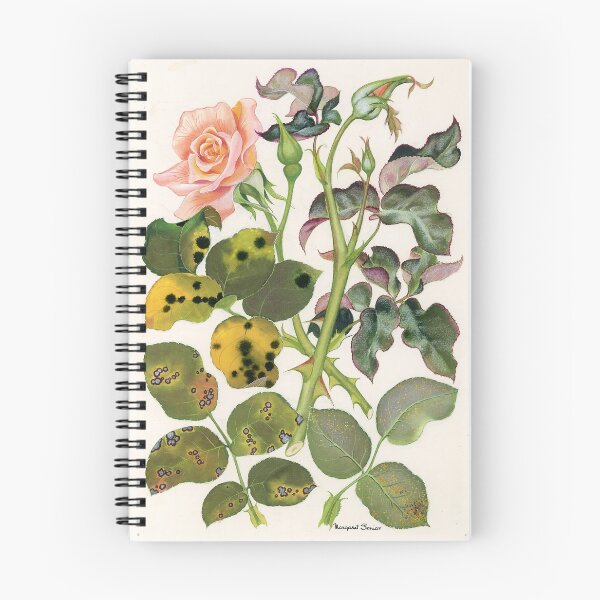 Item preview, Foliage Diseases of Roses designed and sold by BiosecurityColl.