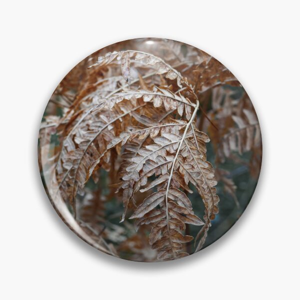 Item preview, Dying before the winter. Bracken designed and sold by Jouko Lehto Photography.