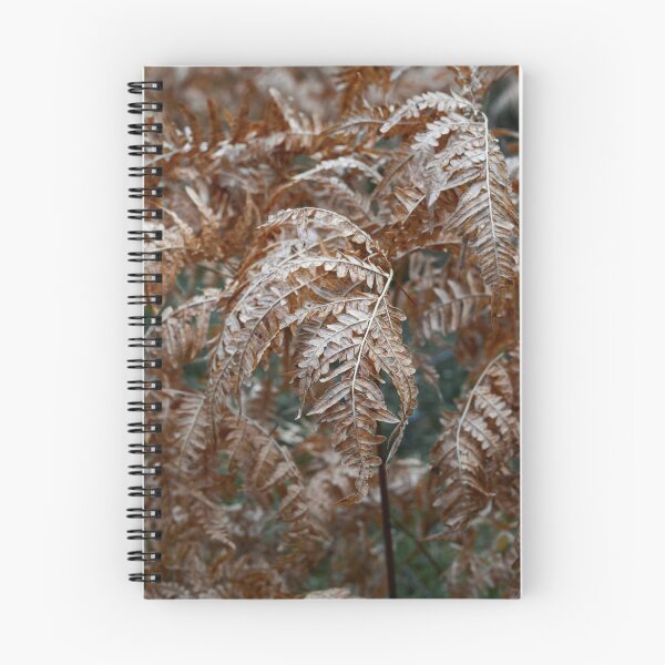 Item preview, Dying before the winter. Bracken designed and sold by Jouko Lehto Photography.