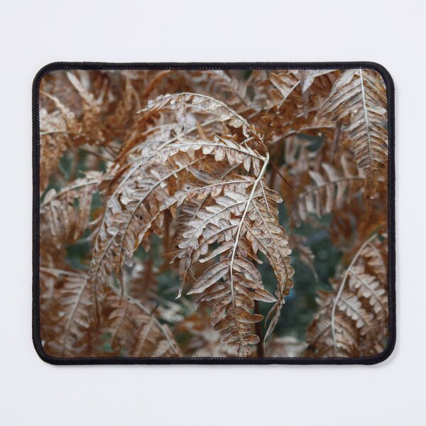 Item preview, Dying before the winter. Bracken designed and sold by Jouko Lehto Photography.