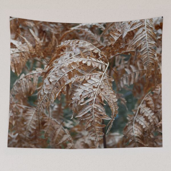 Item preview, Dying before the winter. Bracken designed and sold by Jouko Lehto Photography.