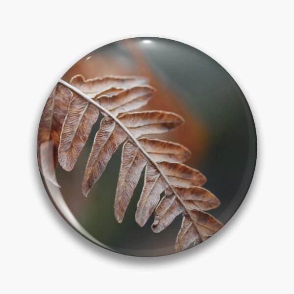 Item preview, One Bracken down designed and sold by Jouko Lehto Photography.